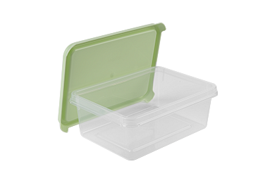 Conteneur Freshpak 1 L, tendrement vert